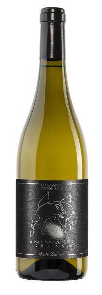 santa barbara Animale Celeste Sauvignon IGT cl 75