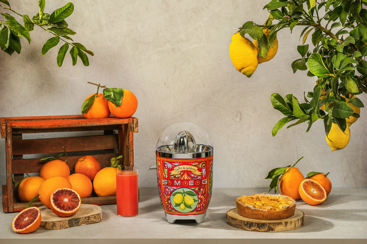 Smeg Estetica citrus juicer 50 years