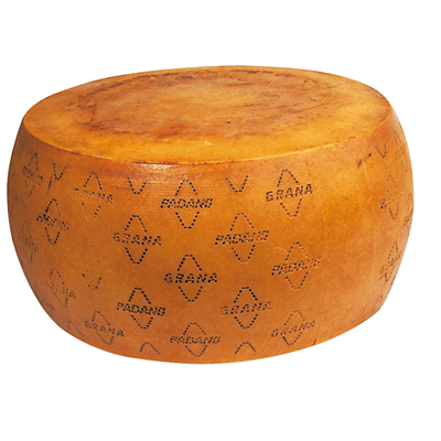 Grana Padano DOP 10 months 1 whole wheel approximately 40 kg