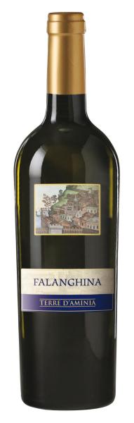 Terre D'aminia Falanghina IGT cl 75