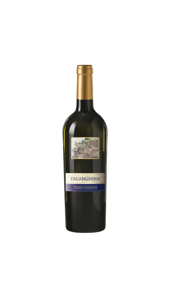 Terre D'aminia Falanghina IGT cl 75