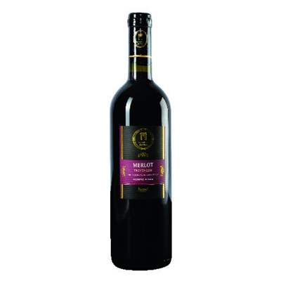 Merlot TreVenezie IGT 6 bott. 75 cl