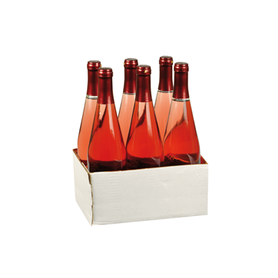 CA' ERNESTO Rosé Veneto IGT Sparkling 6 bottles. 75 cl