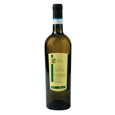 LIVIA ANTICA Falanghina del Sannio 6 bottles. 75 cl