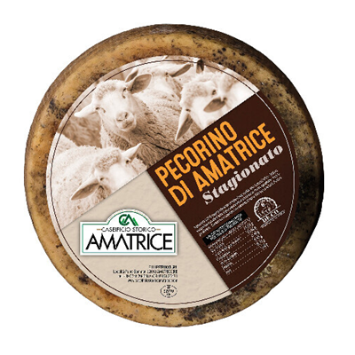 Seasoned Pecorino di Amatrice pack. 2kg